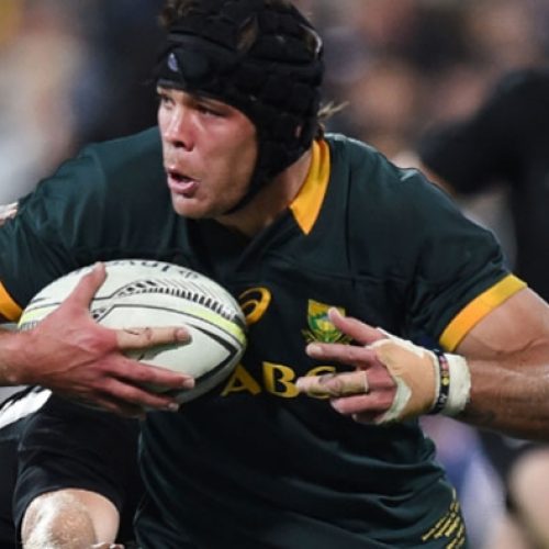 Whiteley not right man to captain Springboks