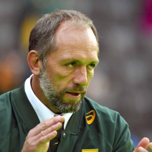 Defence pays dividends for Springboks