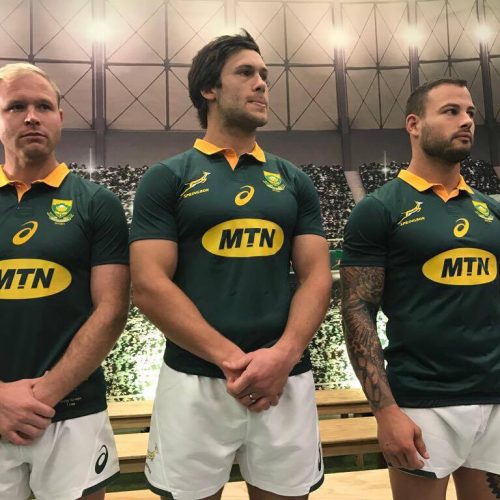 MTN new Springbok sponsor