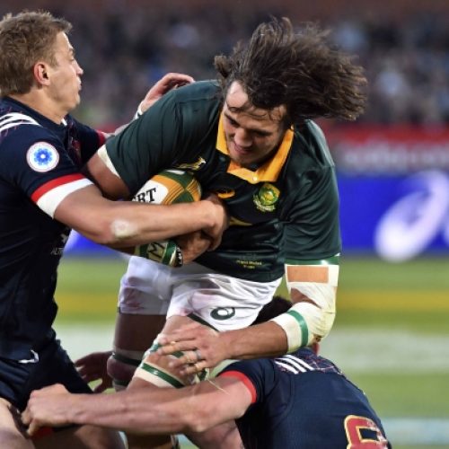 Preview: Springboks vs France (2nd Test)