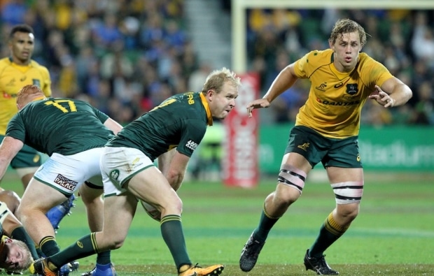 You are currently viewing Springboks thin in key positions