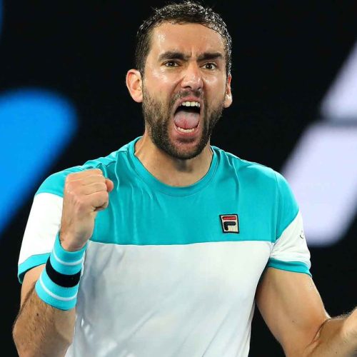 Cilic blows Edmund away to reach final