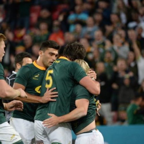 Springboks have direction again