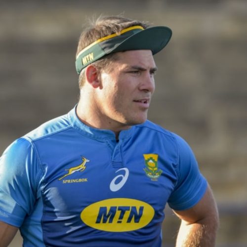 Vermeulen, Brits linked to Bulls