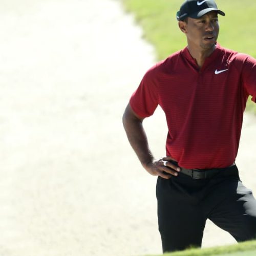 Tiger to play less in 2019