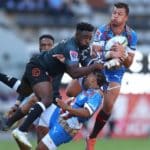 Bulls deny Sharks once again