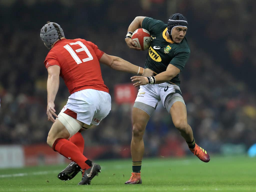 You are currently viewing Springbok squad begins to take shape