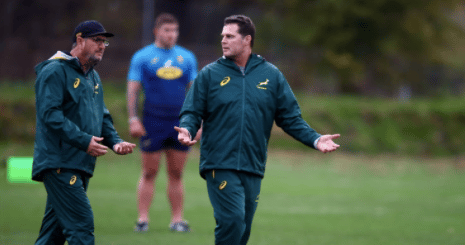 You are currently viewing Swys de Bruin quits Springboks