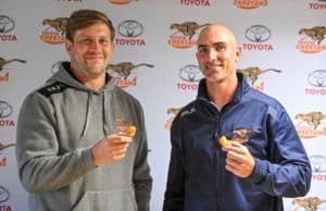 Read more about the article Cheetahs find new home as SA makes camp in Europe