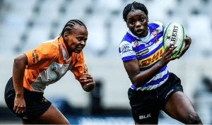 Read more about the article WP overpower Daisies as Sharks find their groove