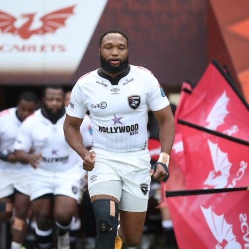 History beckons for Hollywoodbets Sharks in London