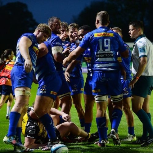 Bulls, Stormers and Lions stay in the hunt for URC playoff spots