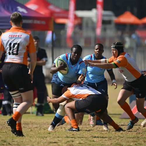 Sharks move up as Daisies boss Boland in Women’s Premier Division