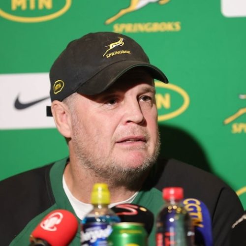 Erasmus names squad loaded with RWC experience for Ireland showdown