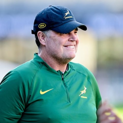 Boks release nine players to Carling Currie Cup teams