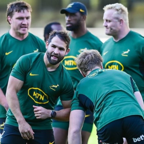 Five players join Springbok squad in Bloemfontein