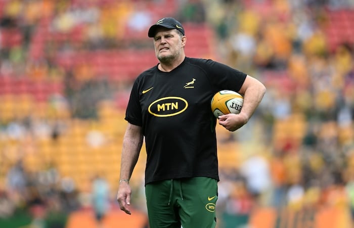 You are currently viewing Erasmus names Springbok squad for NZ Tests