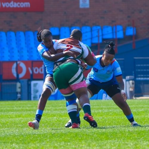 Daisies, WP into Premier Division final