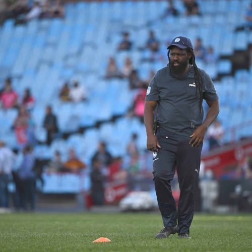 Nomlomo thriving under White’s vision for the Vodacom Bulls