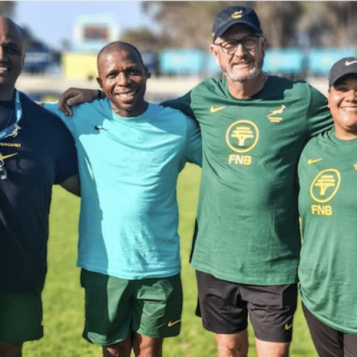 SA Rugby adds coaching experience to emulate Bok success