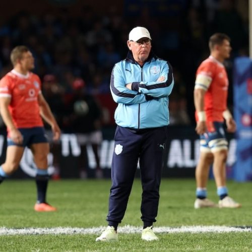 White excited by blend of youth and experience at Vodacom Bulls