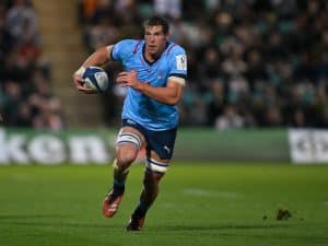 Read more about the article Hanekom replaces injured Willemse in Bok squad