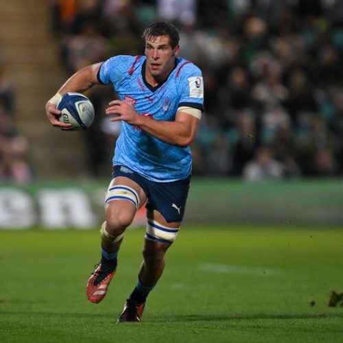 Hanekom replaces injured Willemse in Bok squad