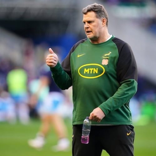 Mixed emotions for Erasmus as Boks topple Scotland