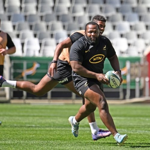 Nche rested against Wales with Louw to earn second successive start