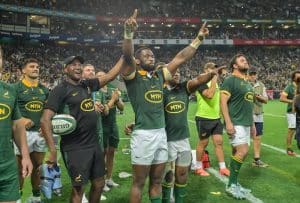 Read more about the article Springboks 2025 home Tests dates confirmed