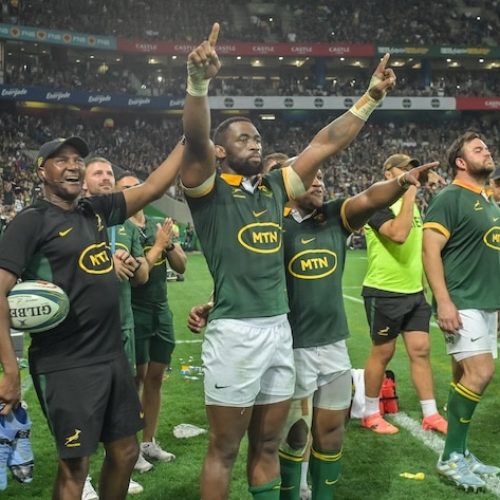 Springboks 2025 home Tests dates confirmed