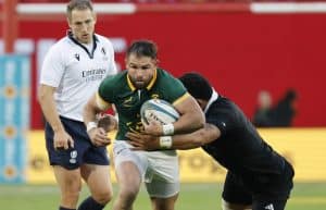 Read more about the article Springbok Reinach joins Stormers for 2025/26 season