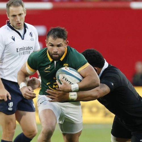 Springbok Reinach joins Stormers for 2025/26 season