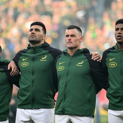 Erasmus invites 26 players to virtual Springbok alignment camps